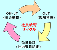 社員教育サイクル