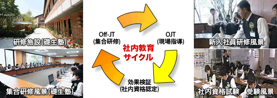 社内教育サイクル